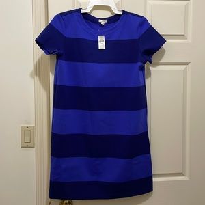 Gap blue striped dress (sz m)